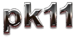 pk11 logo